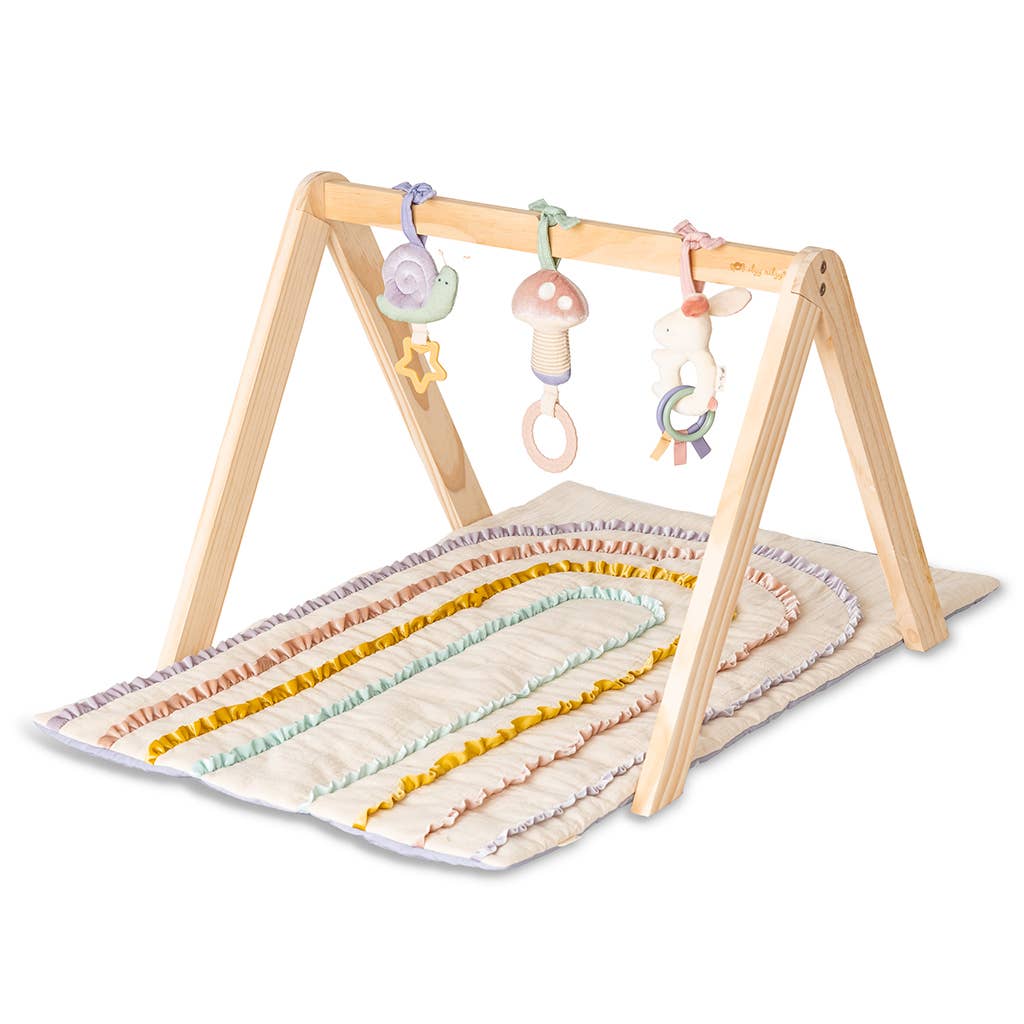 Bitzy Bespoke Ritzy Activity Gym™ Wooden Gym Pastel