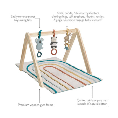 Bitzy Bespoke Ritzy Activity Gym™ Wooden Gym Pastel