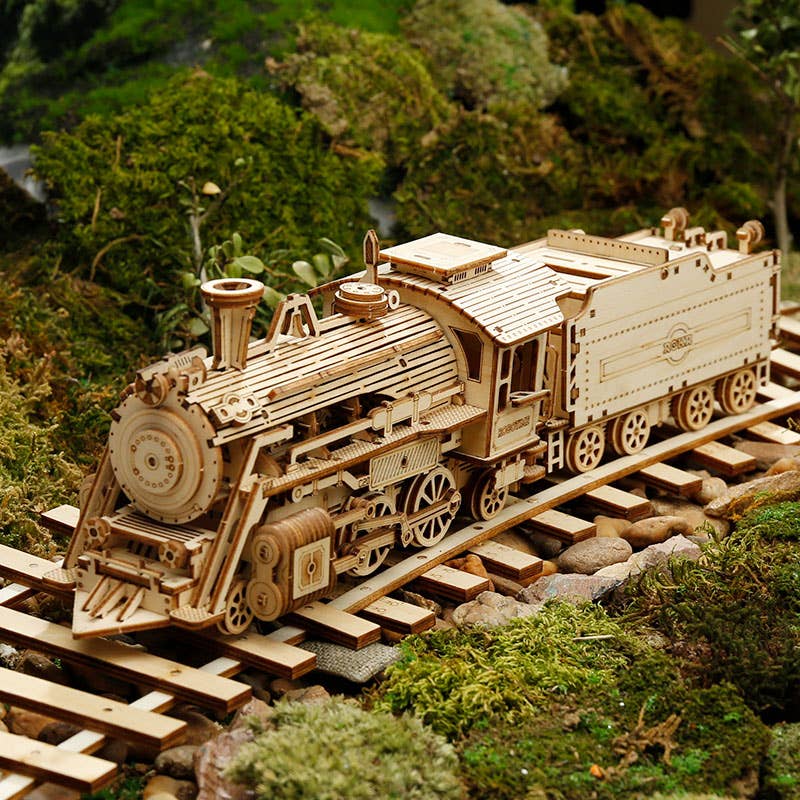 3D Laser Cut Wooden Puzzle: Steam Express