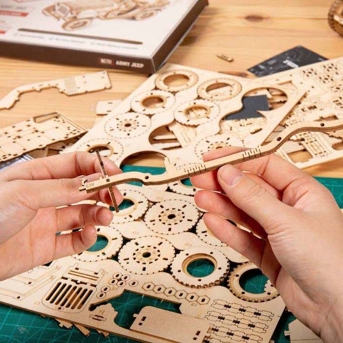 3D Laser Cut Wooden Puzzle: Steam Express