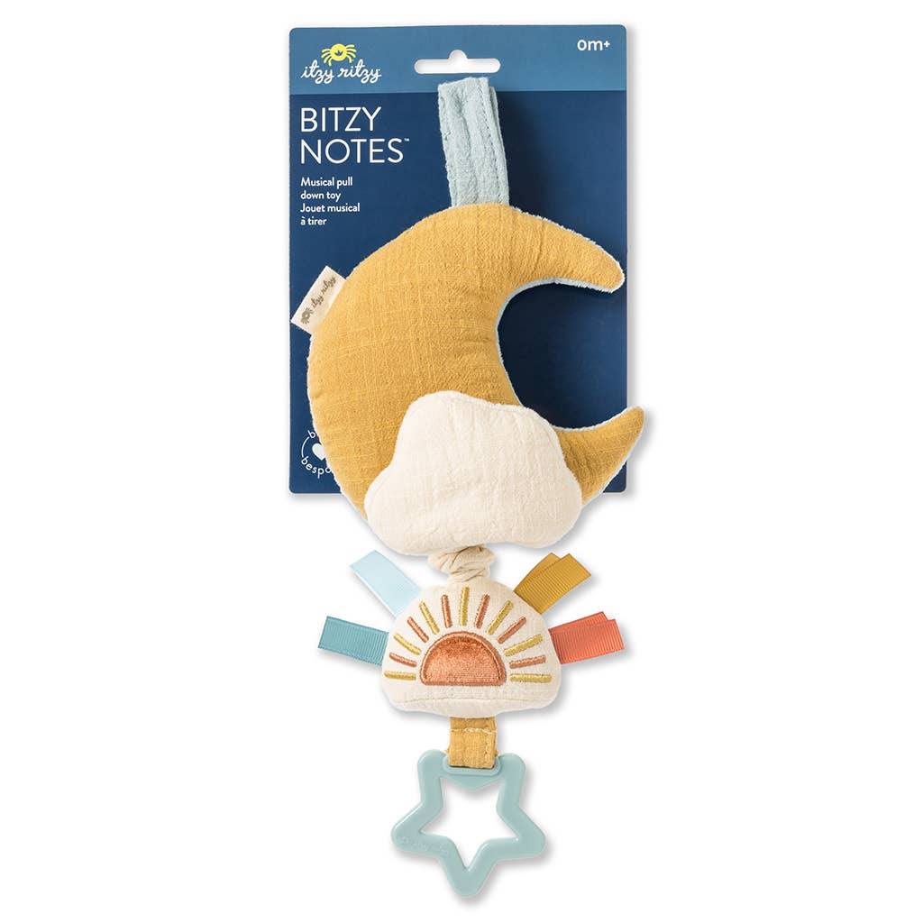 Bitzy Notes™ Musical Pull-Down Toy Cloud/Sun